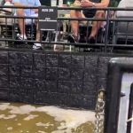 article image - Star Lake Flood